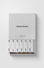 N23 Discovery Set